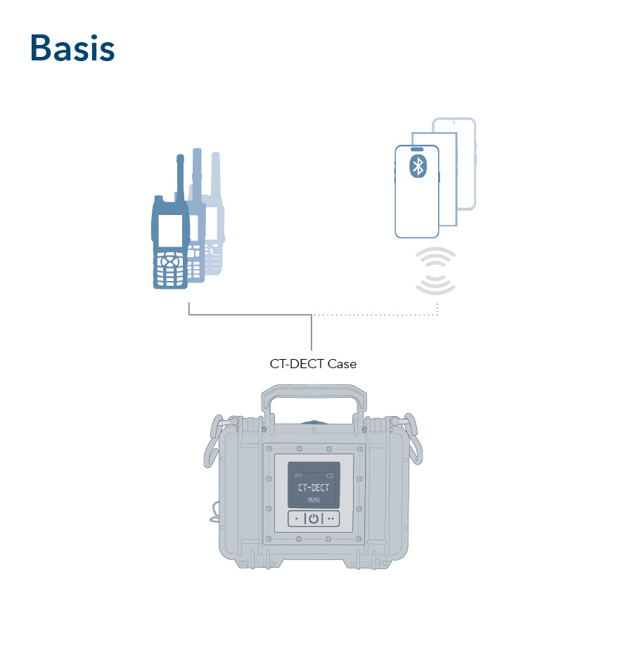 cases240923_basis-multiple